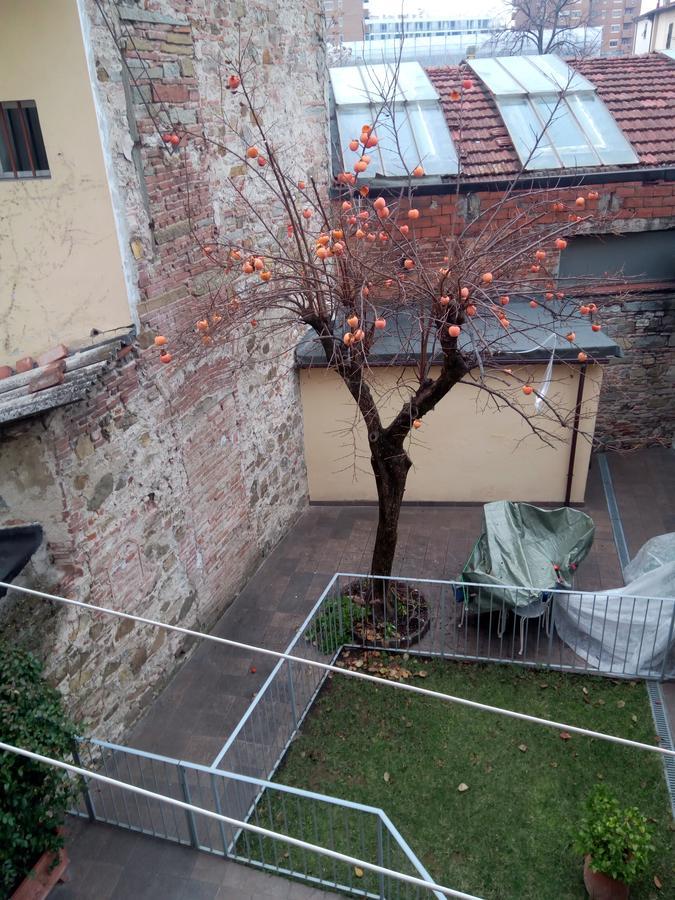 Appartamento Rifredi Florenţa Exterior foto